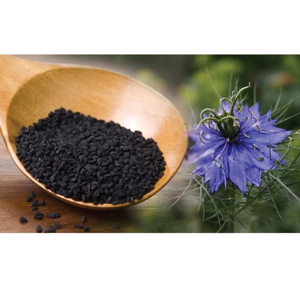 Orku Pure Black Seed Oil Cold Pressed 100% Ethiopian Nigella Sativa