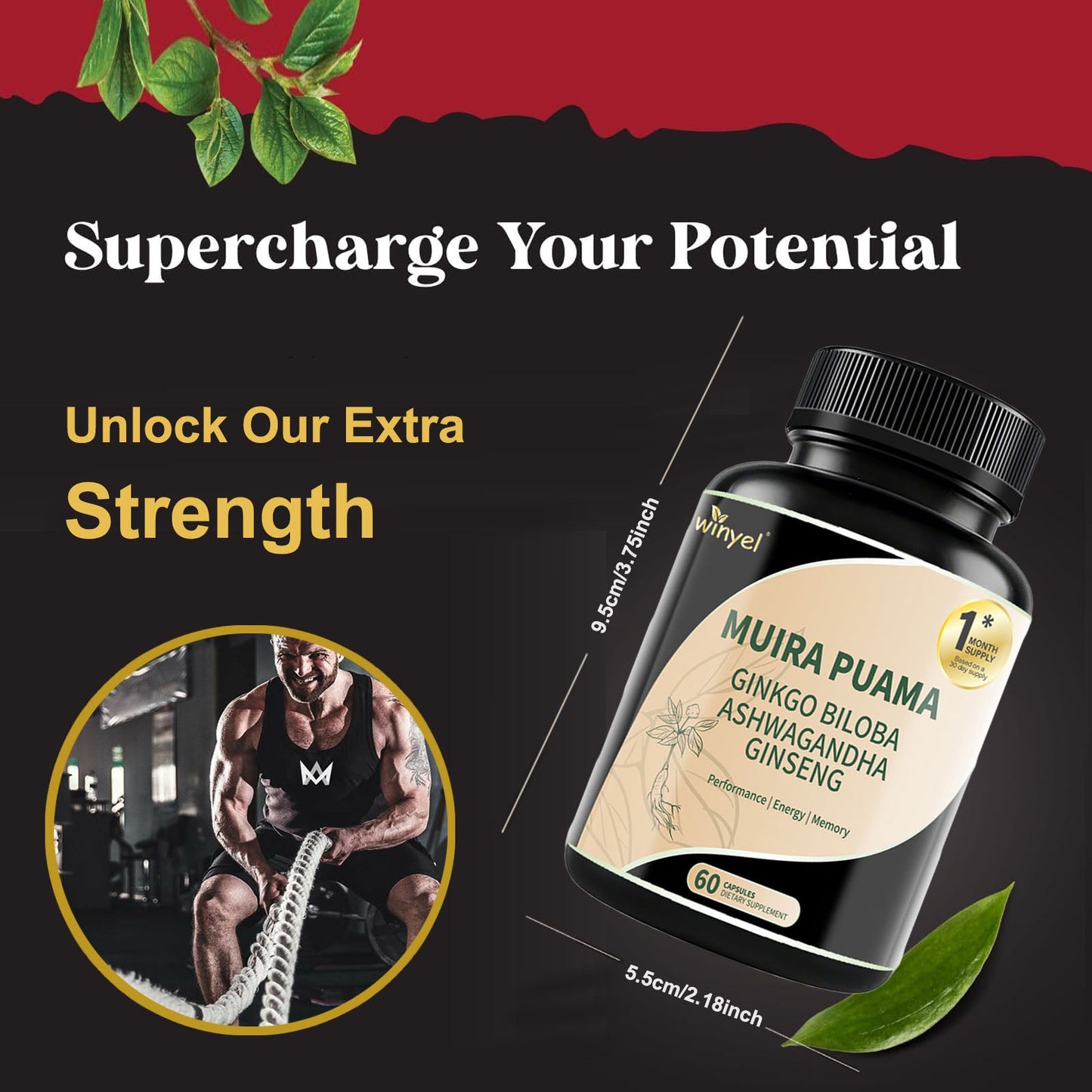 Muira Puama Ginseng Ashwagandha Ginkgo Tribulus  Herbal Supplements