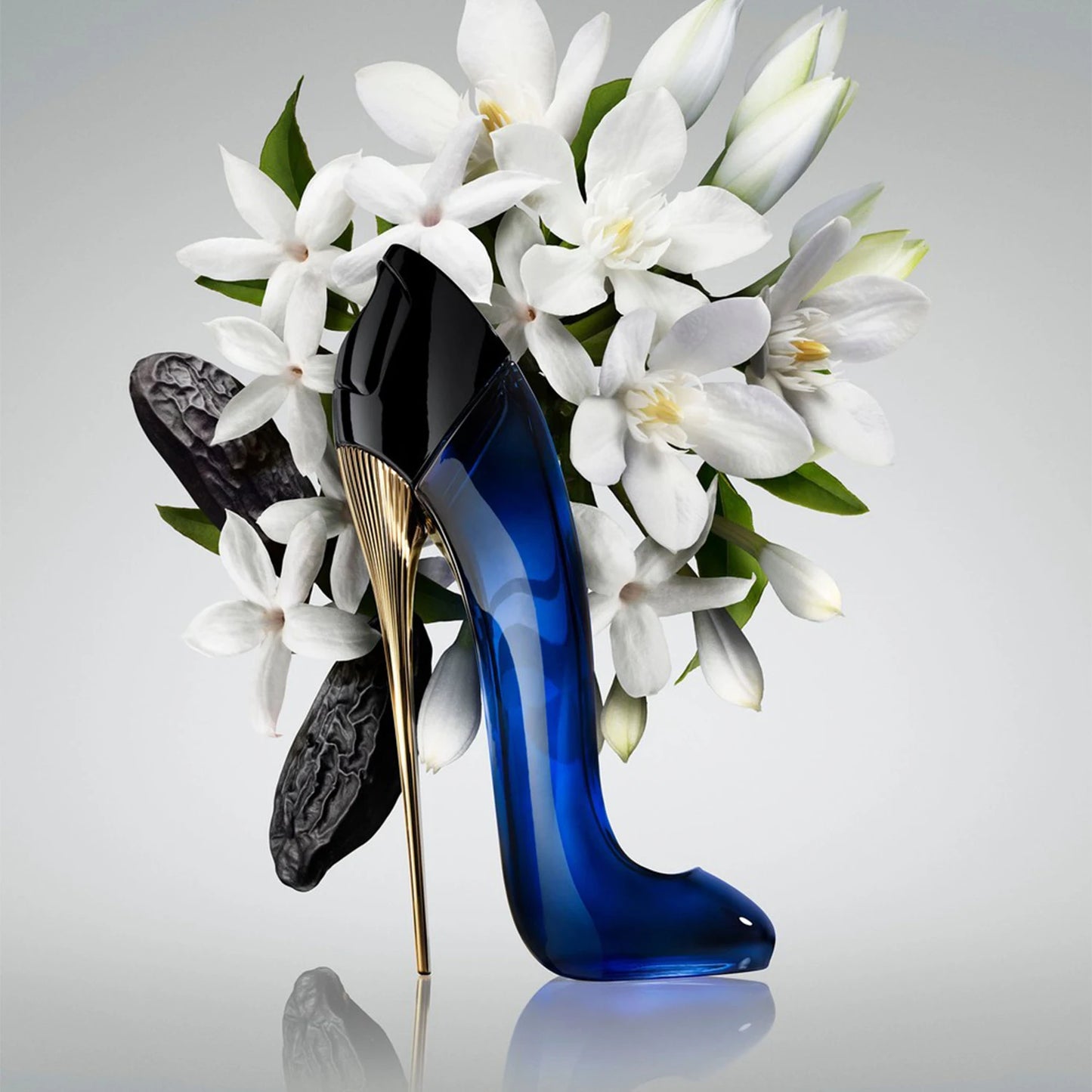 Carolina Herrera Collection