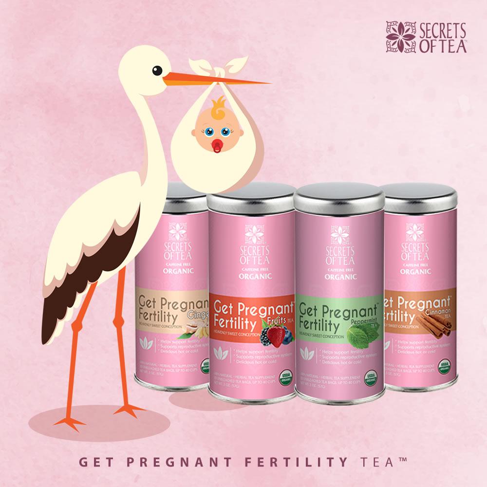 🌿 Get Pregnant Fertility Fruits Tea