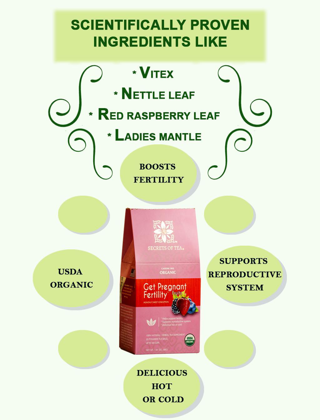 🌿 Get Pregnant Fertility Fruits Tea
