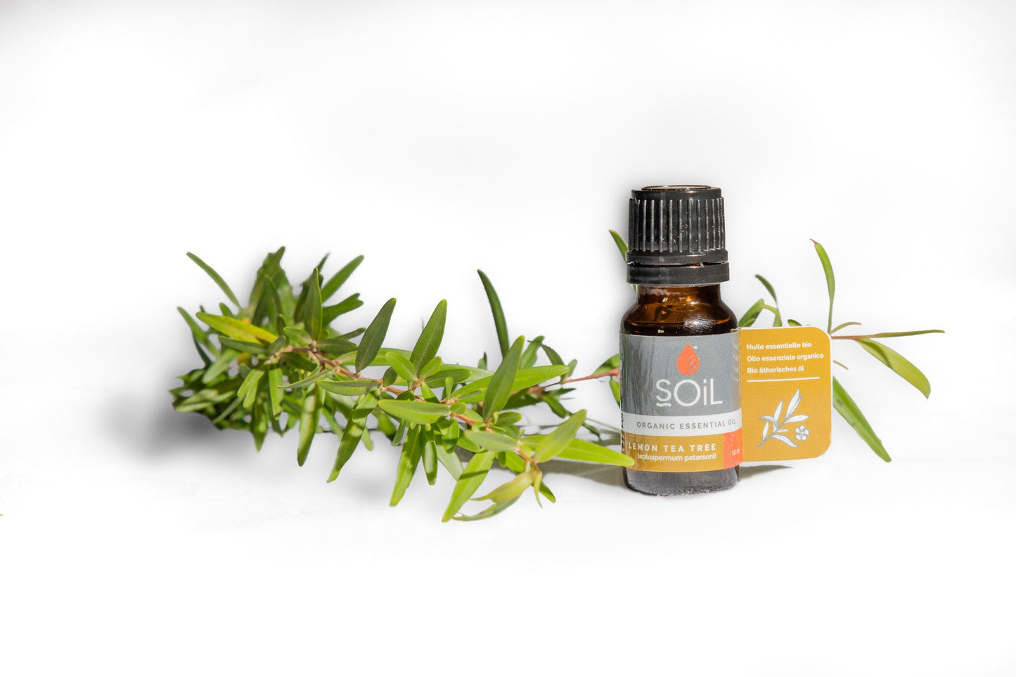 Organic Lemon Tea Tree essential