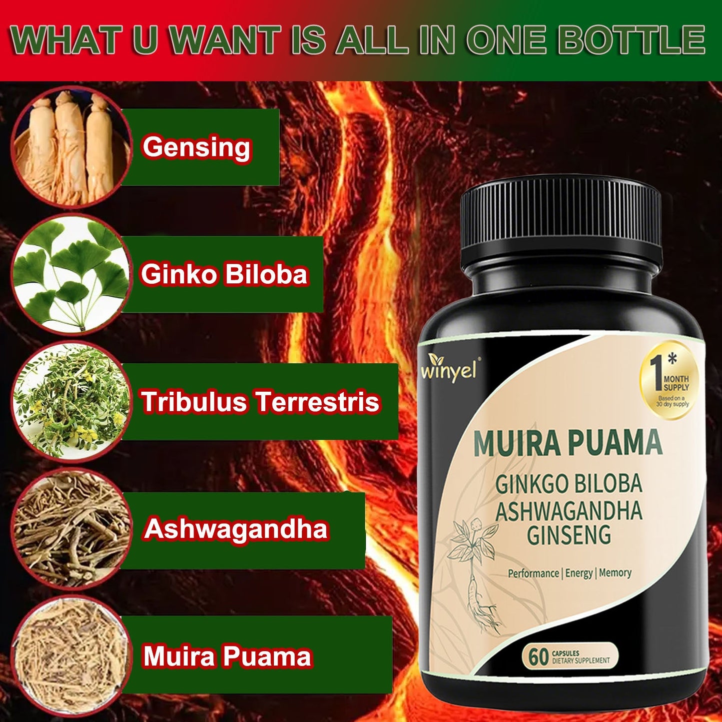 Muira Puama Ginseng Ashwagandha Ginkgo Tribulus  Herbal Supplements
